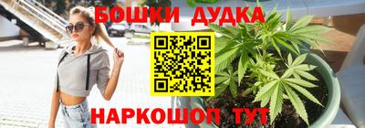 индика Коммунар